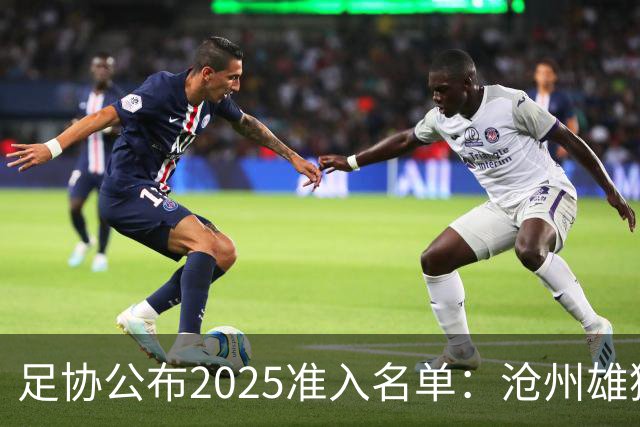 足协公布2025准入名单：沧州雄狮、广州队无缘
